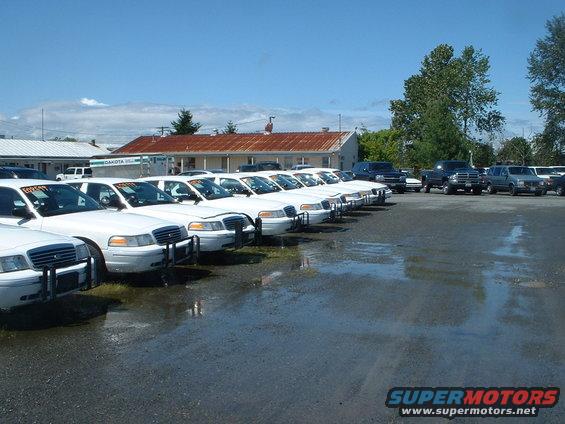 lot.jpg Small sample of retired King County Sheriff units at auction.