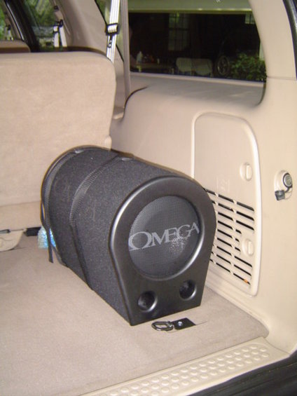 dsc01955.jpg Omega 10" Subwoofer