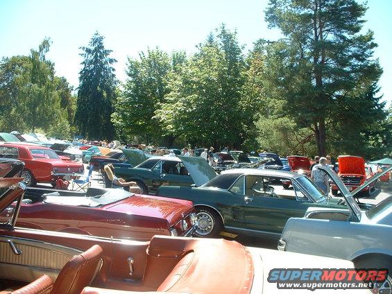 show-15.jpg Rows and rows of '60s-70s Mustangs.