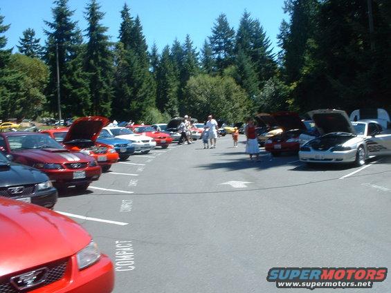 show-22.jpg Small sample of the row of '99-04 Mustangs on the left and '94-98s on the right.