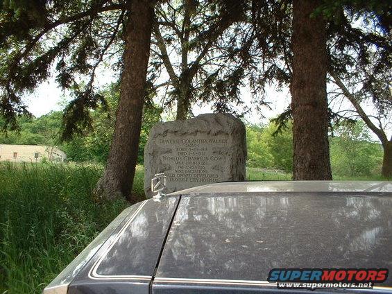 cowstn2.jpg In front of the grave of Traverse Colantha Walker....world's champion cow.