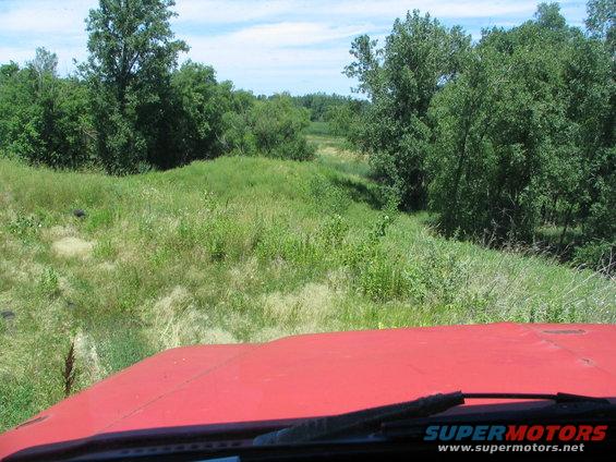 back-down-through-the-wetland.jpg a small valley to go back through