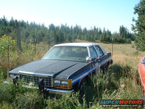 vic1.jpg 1987 police package LTD Crown Vic. 351 W. motor.

I bought this car from the E.V.O.O.A. president/founder.