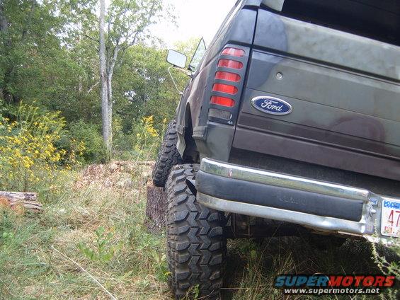 picture-358.jpg 