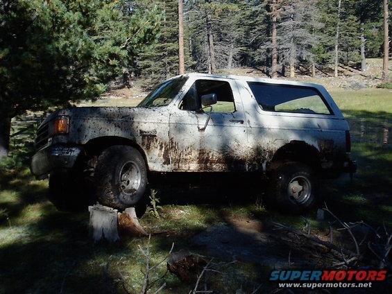 wheelin-on-capulin-mountain-(4).jpg Not much flex, yet.