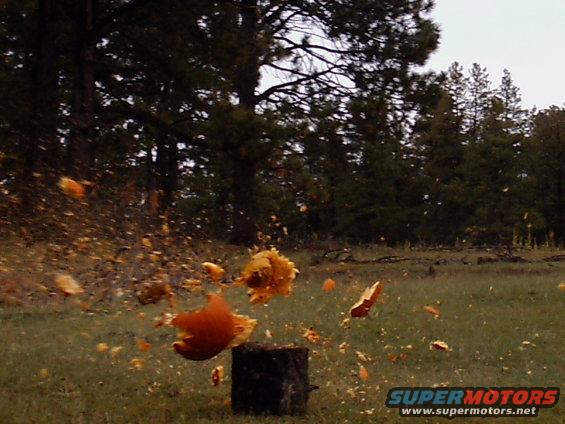 camping-oct.-05-(9).jpg Pumpkin + 12 guage shotgun = one hell of a picture.