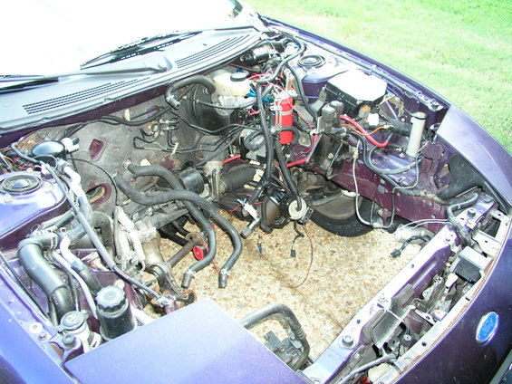 engine-bay2.jpg 