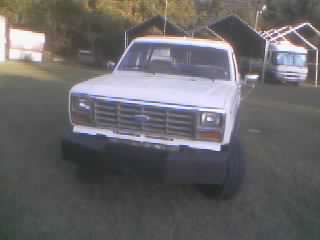 p5.jpg 