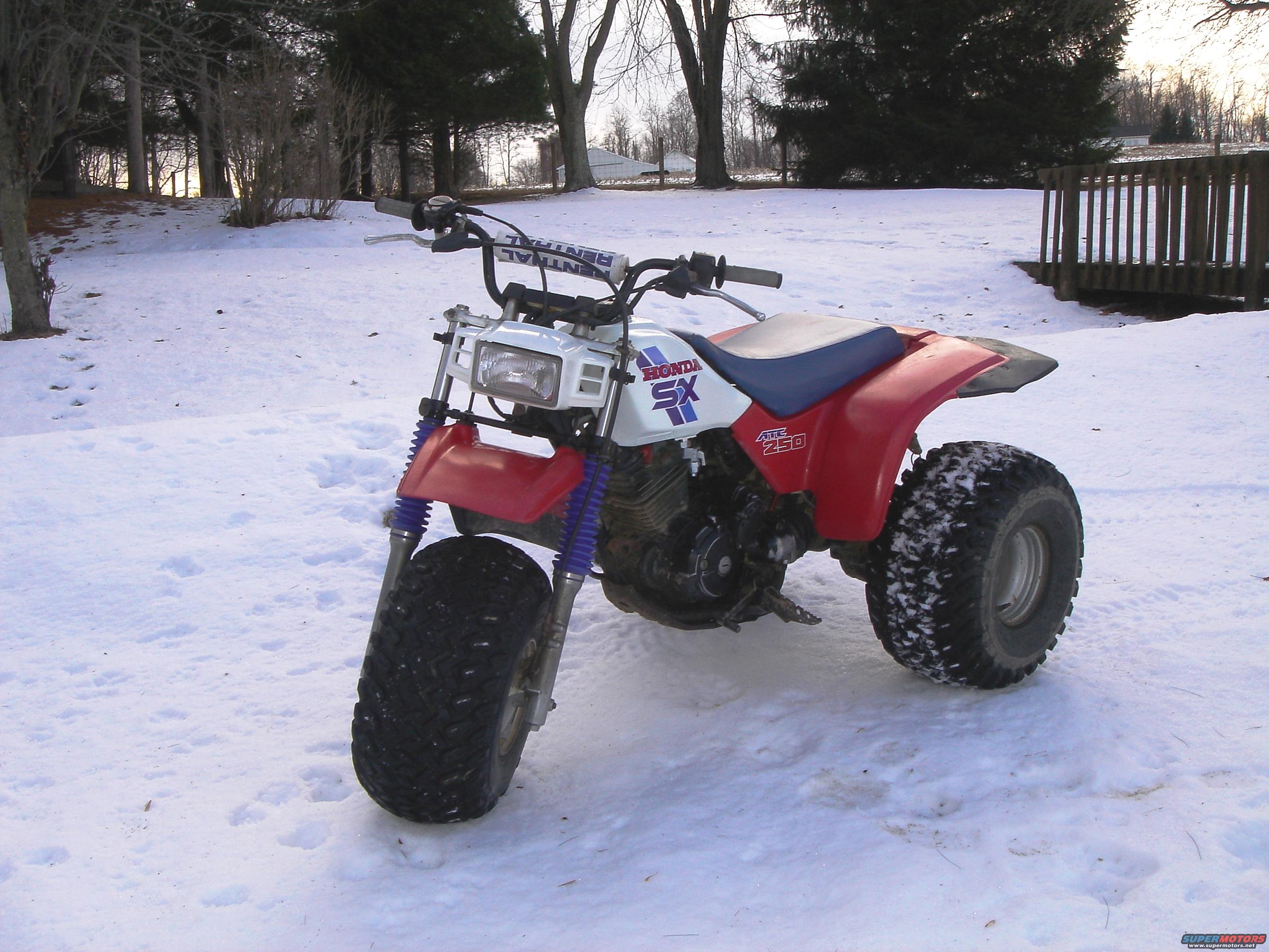 1985 Honda 250 X Pictures Photos Videos And Sounds