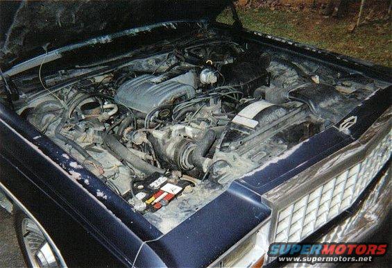 blue-engine.jpg 5.0L of the '87