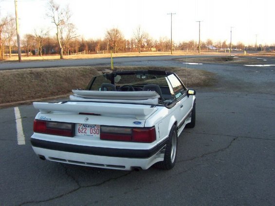 1988saleenvert_rear.jpeg 