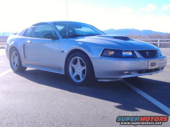 2006_0130mustang30008.jpg 