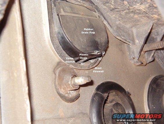 leak03.jpg This is a common problem for all '92-98 Panthers. Water draining from the A/C system runs out under the rubber flap & then back inside the firewall under the passenger front carpet & collects in the R rear footwell.