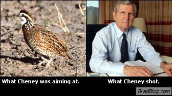 cheney-shoots-man-while-hunting.jpeg 