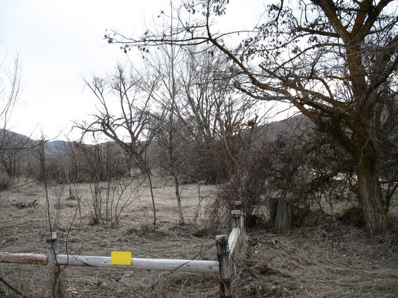 squaw-butte-drive-007.jpg believe it or not, there used to be a house here that I lived in. Trees in the back is where my brothers had cables strung and used to swing from tree to tree.