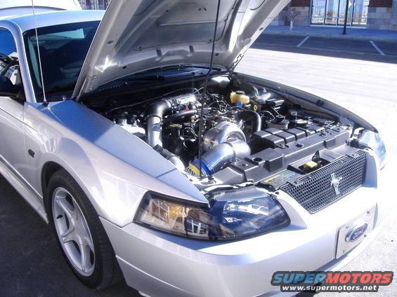 2006_0130mustang0014.jpg 