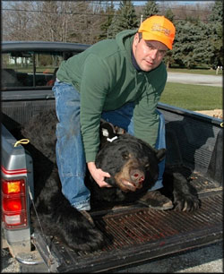 asset_upload_file498_2080.jpg Pennsylvania State Record for Black Bear