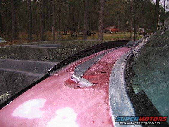 hood2.jpg 