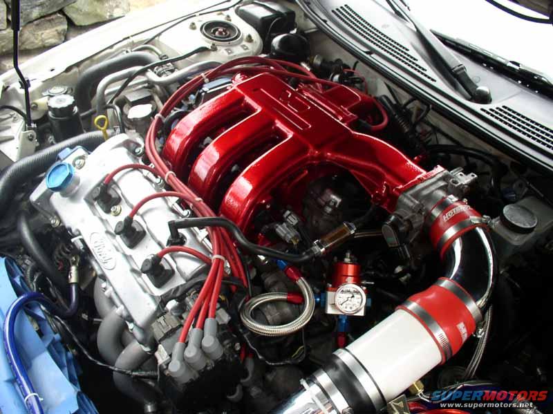 underhood-003.jpg 