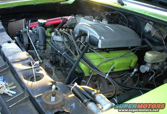 5.0l-engine-bay-1.jpg 