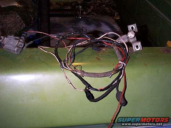 wiring_harness_1.jpg 