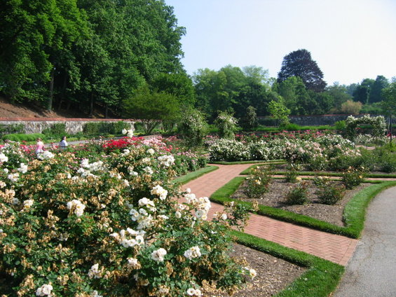 biltmore-estate-52906-011.jpg 