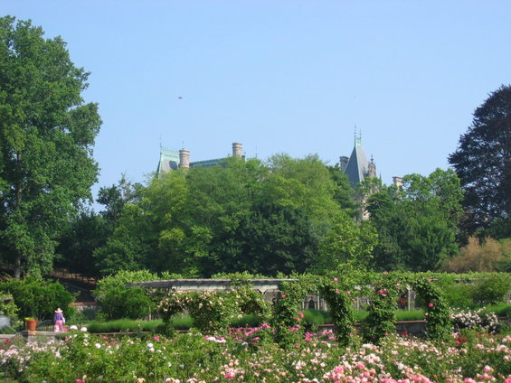 biltmore-estate-52906-023.jpg 