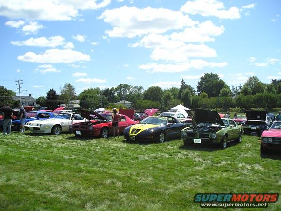 trans-am-line-up262.jpg 