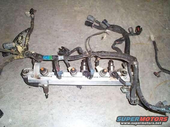 fiharness.jpg Fuel Rail, Harness, and Injectors.