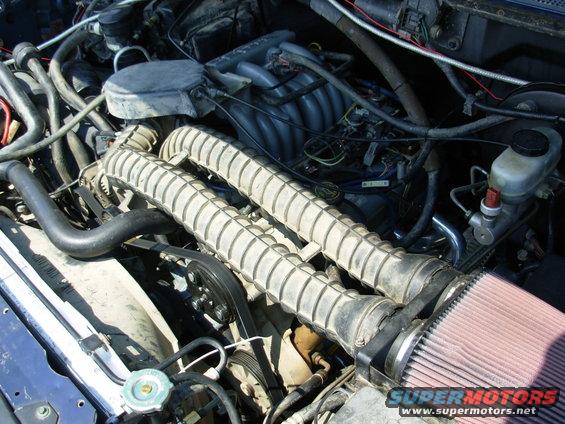 cody02engtl.jpg We didn't have time to clean & paint the intake manifold & accessory brackets, but maybe later...