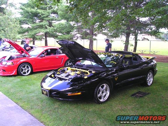 trans-am036.jpg 