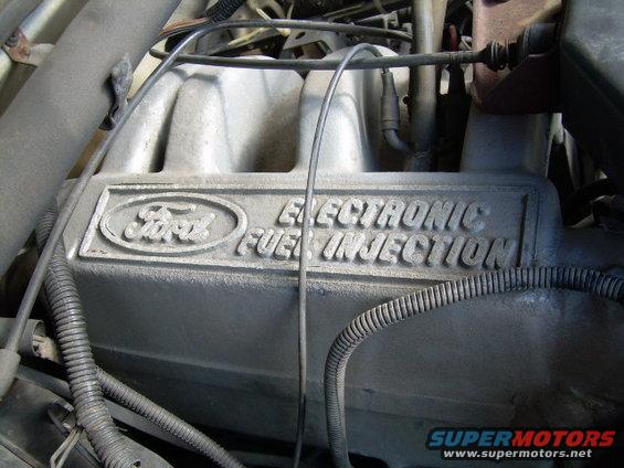 Electronic fuel injection 302 ford #10