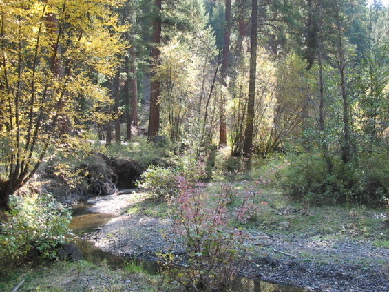 111_1168.jpg Creek at camp