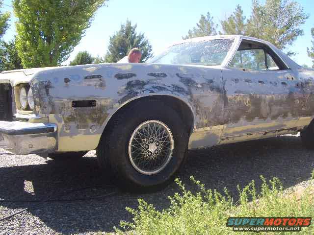 2ranchero_d.jpg Driver's side after first stripping