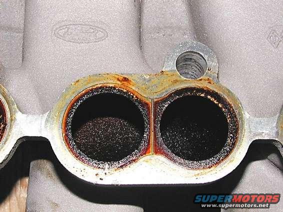 intake_plenum.jpg Example of the intake plenum ports.  Filthy!