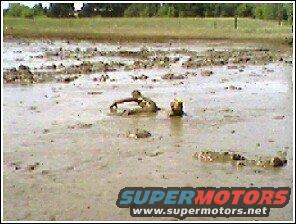 swimming-in-mud-1.jpg 