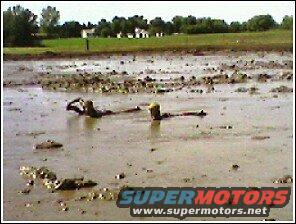 swimming-in-mud-2.jpg 