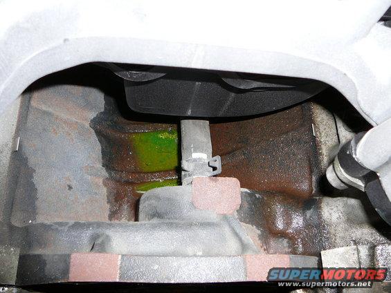 coolant-hose-under-npi-intake.jpg 