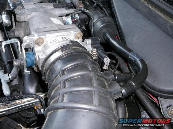 intake-zip-tube.jpg Step 8:

Remove the intake Zip tube by loosening the hose clamp on the throttle body and removing both the 2 hoses that enter the backside of the zip tube. These are the Idle air control valve feed hose and the crankcase ventilation tube. Remove the zip tube from the  throttle body.

Next loosen the hose clamp on the zip tube and MAF sensor housing located behind the airbox. You can now remove the zip tube and set aside.
