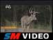 Whitetail Revolutions debate on raising World Record Bucks