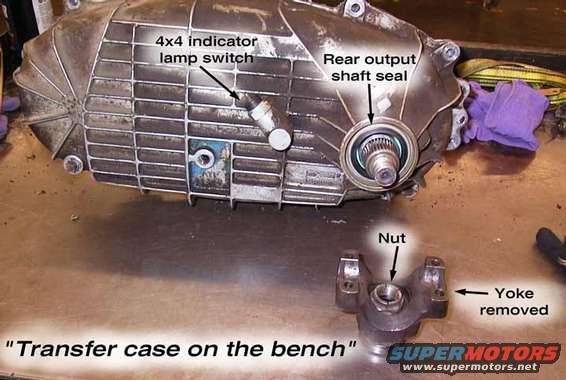 tcaseonbench.jpg 