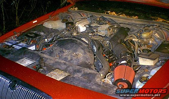 engineshot.jpg Old picture of my engine all dirty with just MSD coils and conical air filter.