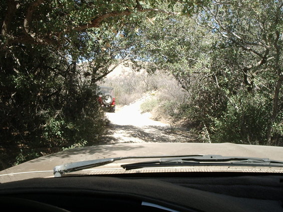 p2240109.jpg If you're worried about the paint on your Bronco, you should not try to follow a bunch of Jeeps.