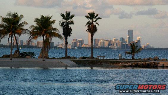 miami-skyline.jpg 