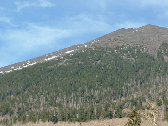 dscf0049.jpg The San Francisco Peaks at Snowbowl Ski Area.  Just a little bit of snow left.