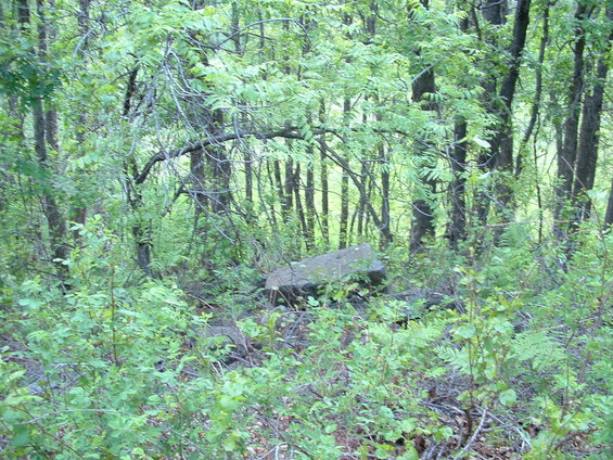 dscf0059.jpg Some scenery in Oak Creek Canyon, Highway 89A in Arizona.