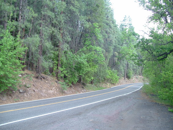 dscf0060.jpg Some scenery in Oak Creek Canyon, Highway 89A in Arizona.