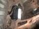 the new shocks and spring 