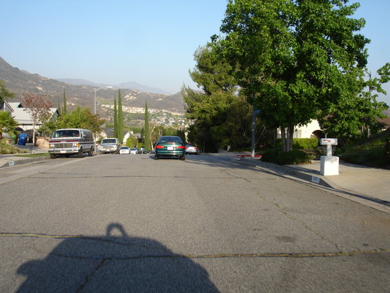 dsc08869.jpg 