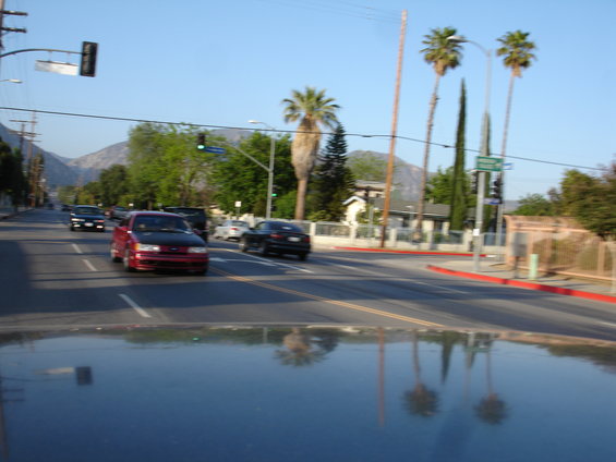 dsc08906.jpg 